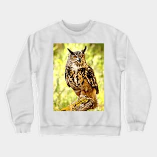 Eurasian Eagle Owl Crewneck Sweatshirt